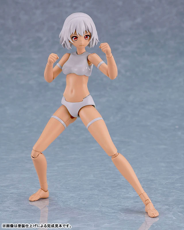 Alt view image 5 of 6 - PLAMATEA Muse Body: Ichika Type C Plastic Model