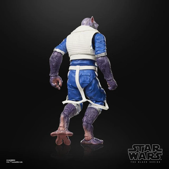 Alt view image 6 of 6 - Star Wars The Black Series Zeb Orrelios (New Republic Pilot)
