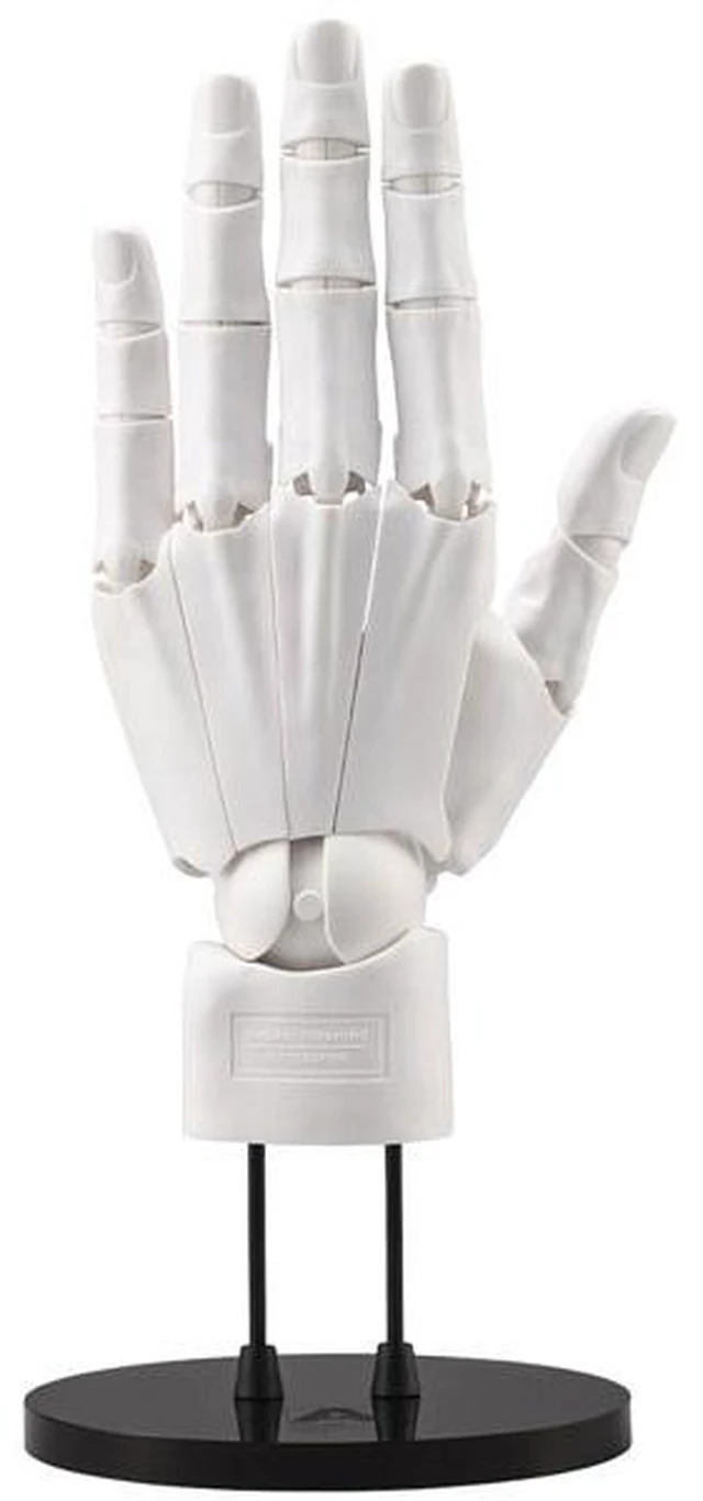 Main image of Takahiro Kagami Artist Support Item Hand Model Men's/L -White-