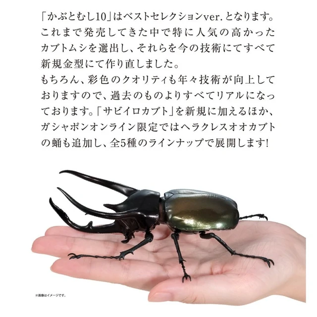 Alt view image 2 of 7 - Bandai Ikimono Daizukan Beetle 10 Bark Pedestal (Small) Set (5 Types)