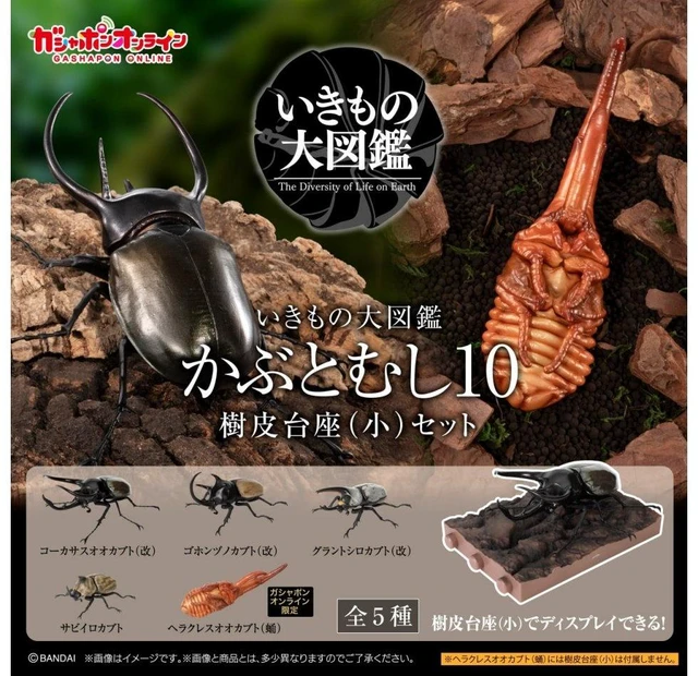 Main image of Bandai Ikimono Daizukan Beetle 10 Bark Pedestal (Small) Set (5 Types)