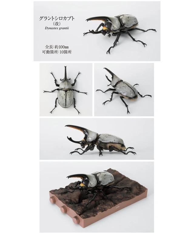Alt view image 7 of 7 - Bandai Ikimono Daizukan Beetle 10 Bark Pedestal (Small) Set (5 Types)