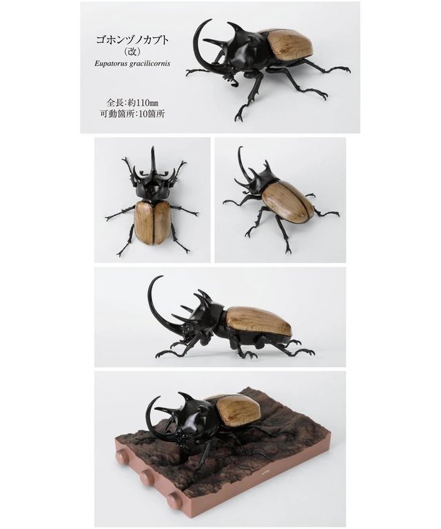 Alt view image 6 of 7 - Bandai Ikimono Daizukan Beetle 10 Bark Pedestal (Small) Set (5 Types)