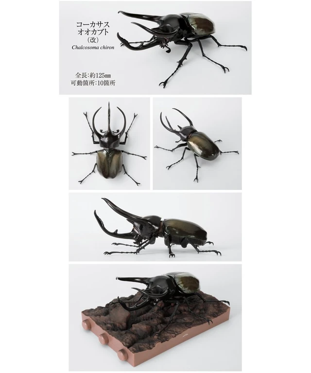 Alt view image 5 of 7 - Bandai Ikimono Daizukan Beetle 10 Bark Pedestal (Small) Set (5 Types)
