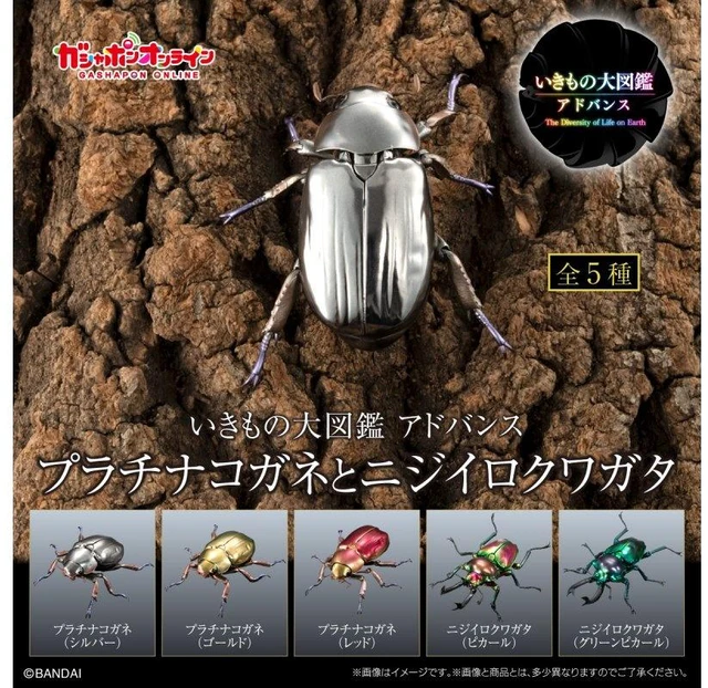 Main image of Ikimono Daizukan Advance Platinum Beetle & Rainbow Stag Beetle Set