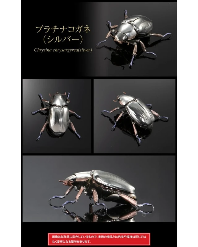 Alt view image 2 of 7 - Ikimono Daizukan Advance Platinum Beetle & Rainbow Stag Beetle Set
