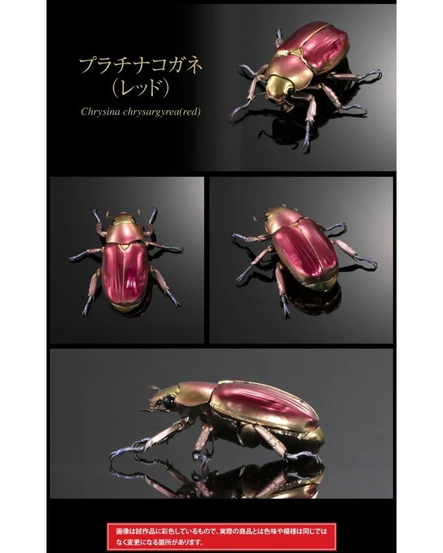 Alt view image 4 of 7 - Ikimono Daizukan Advance Platinum Beetle & Rainbow Stag Beetle Set