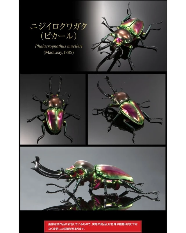 Alt view image 5 of 7 - Ikimono Daizukan Advance Platinum Beetle & Rainbow Stag Beetle Set