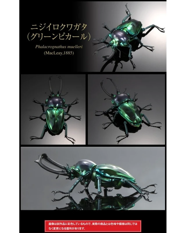Alt view image 6 of 7 - Ikimono Daizukan Advance Platinum Beetle & Rainbow Stag Beetle Set