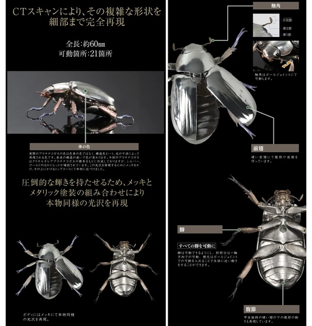 Alt view image 7 of 7 - Ikimono Daizukan Advance Platinum Beetle & Rainbow Stag Beetle Set
