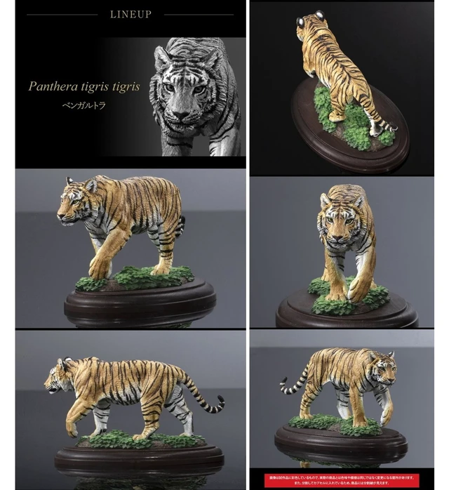 Alt view image 5 of 7 - Ikimono Daizukan Display Model Collection Wild Felines 3-Piece Set