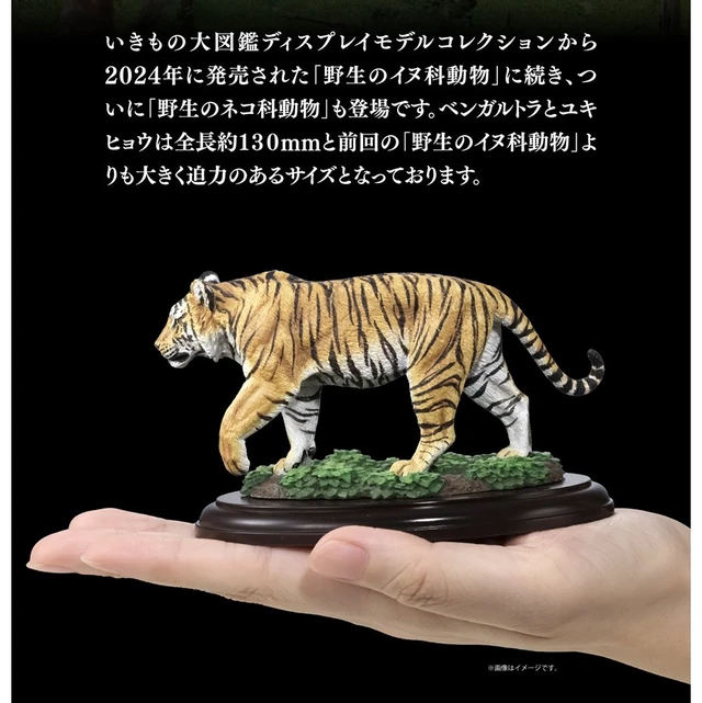 Alt view image 2 of 7 - Ikimono Daizukan Display Model Collection Wild Felines 3-Piece Set