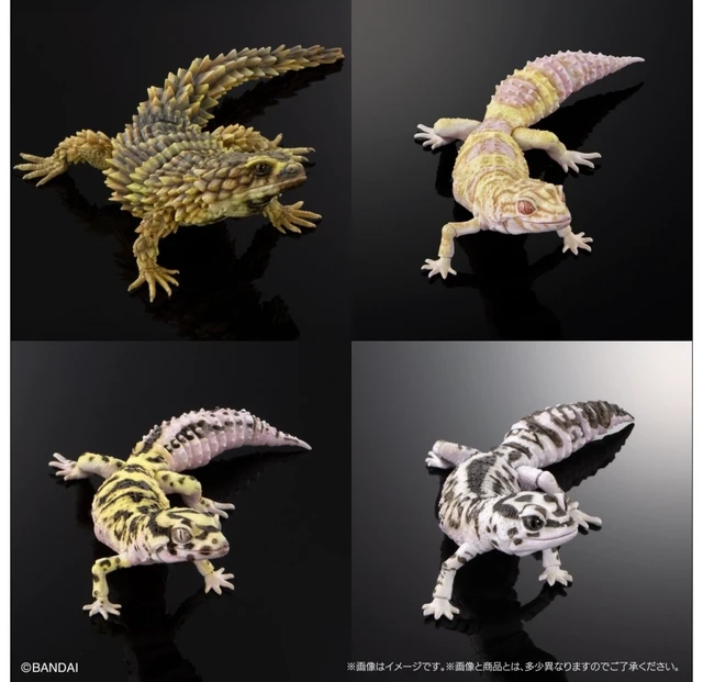 Alt view image 2 of 7 - Ikimono Daizukan Advance Selected Edition 02 Set of 4