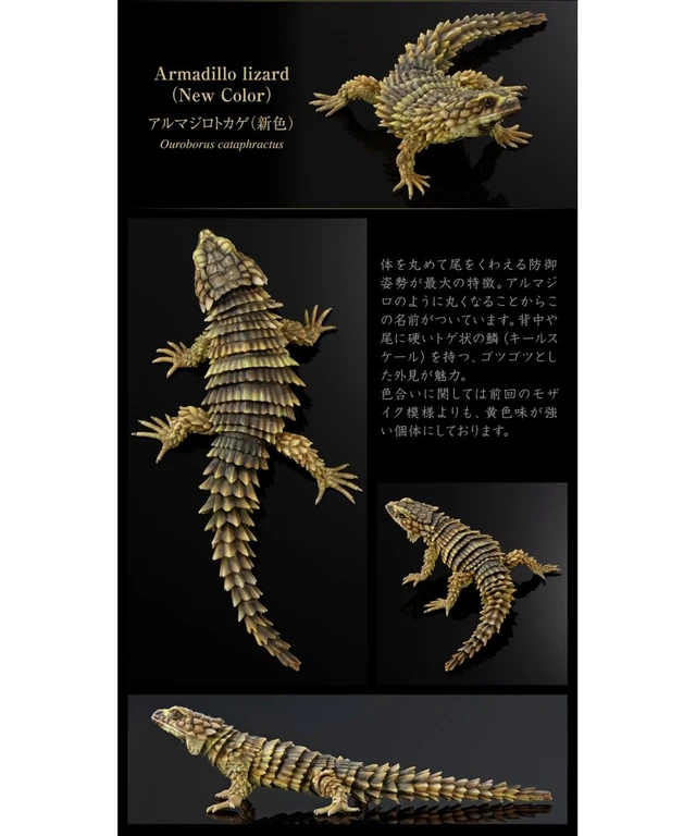 Alt view image 3 of 7 - Ikimono Daizukan Advance Selected Edition 02 Set of 4