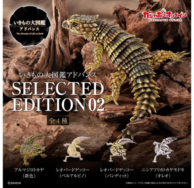 Main image of Ikimono Daizukan Advance Selected Edition 02 Set of 4