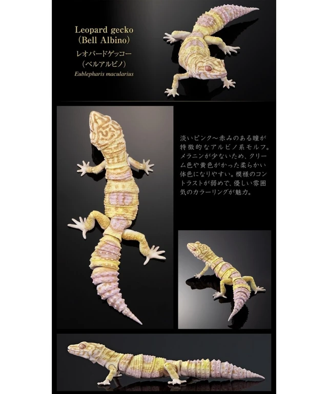 Alt view image 4 of 7 - Ikimono Daizukan Advance Selected Edition 02 Set of 4