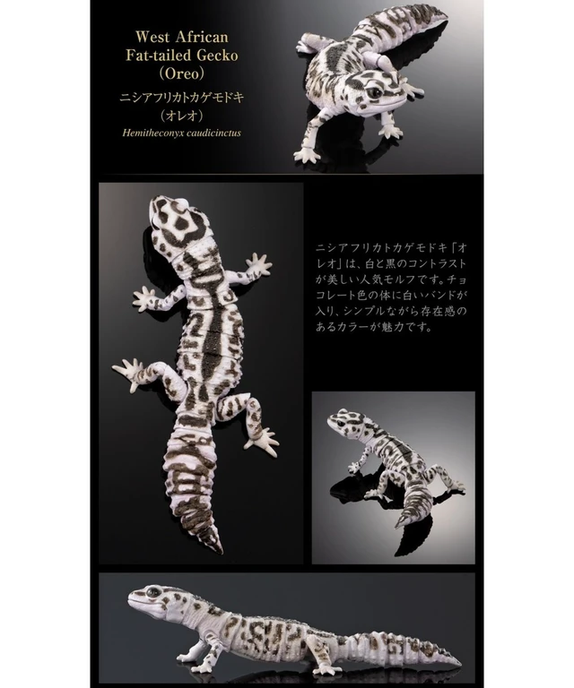 Alt view image 6 of 7 - Ikimono Daizukan Advance Selected Edition 02 Set of 4