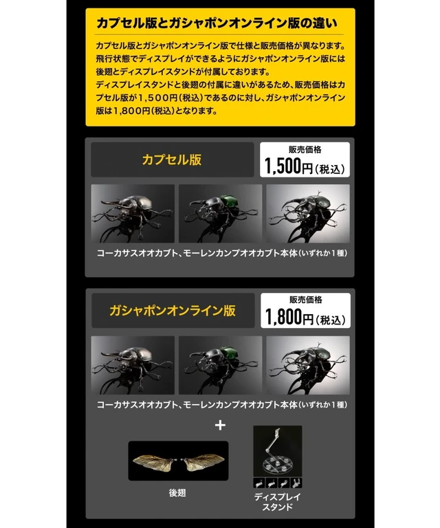 Alt view image 3 of 7 - Ikimono Daizukan Advance Caucasus Beetle Display Stand Set (3 Types)