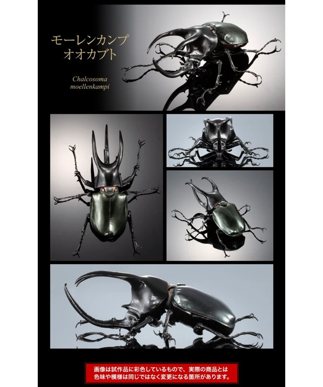 Alt view image 6 of 7 - Ikimono Daizukan Advance Caucasus Beetle Display Stand Set (3 Types)