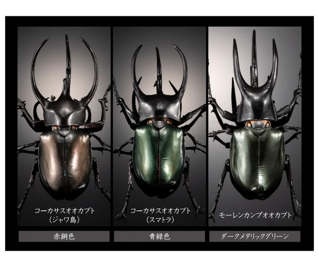 Alt view image 7 of 7 - Ikimono Daizukan Advance Caucasus Beetle Display Stand Set (3 Types)