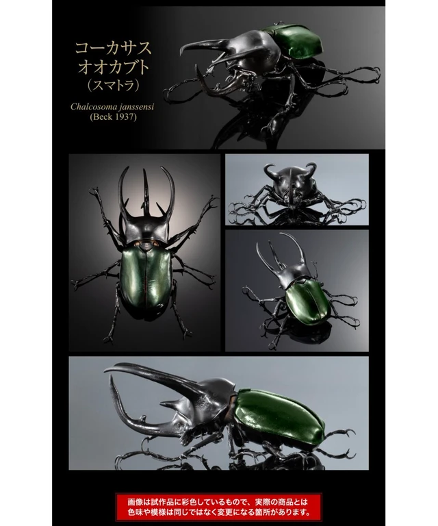 Alt view image 5 of 7 - Ikimono Daizukan Advance Caucasus Beetle Display Stand Set (3 Types)