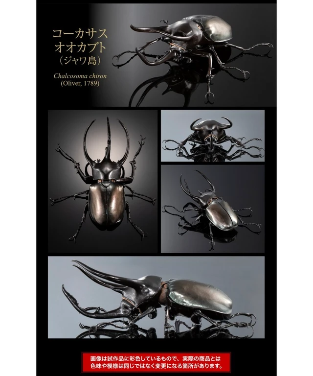 Alt view image 4 of 7 - Ikimono Daizukan Advance Caucasus Beetle Display Stand Set (3 Types)