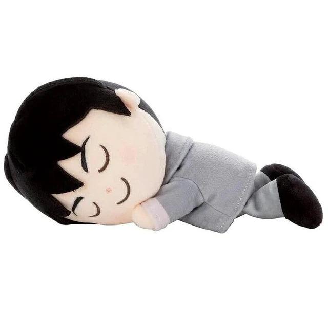 Main image of Tokyo Revengers Naoto Tachibana Suyasuya Friend Plush S