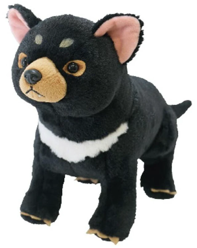 Main image of Fluffies Plush M Tasmania Devil