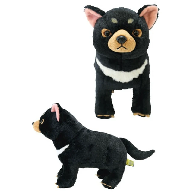 Alt view image 2 of 3 - Fluffies Plush M Tasmania Devil