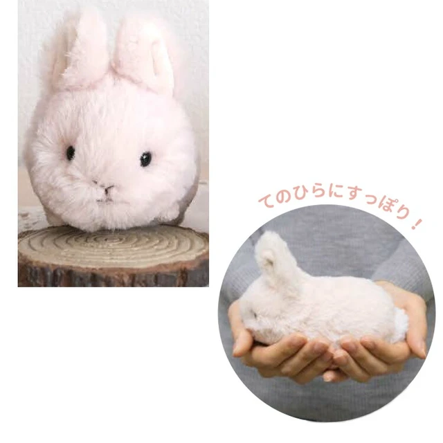 Alt view image 3 of 3 - Baby Animals Plush S Rabbit Beige