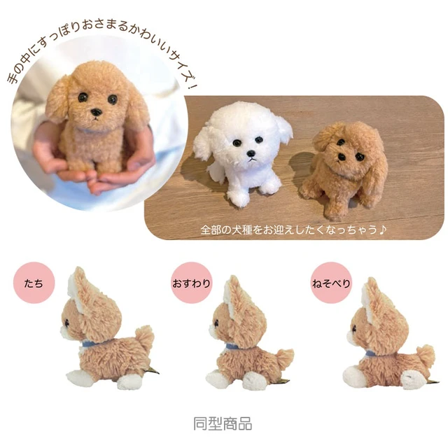 Alt view image 2 of 2 - PUPS! Plush S Papillon BR