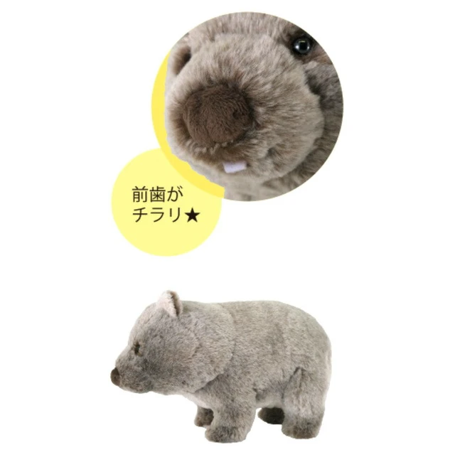 Alt view image 2 of 3 - Fluffies Plush M Wombat