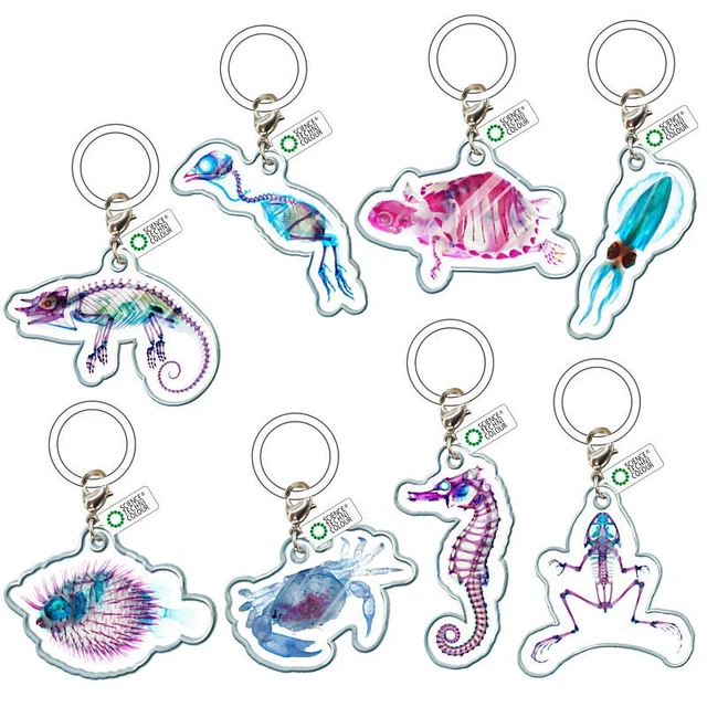Alt view image 2 of 2 - Japan Science Techni Color New World Transparent Specimen Mejirushi Mascot Set