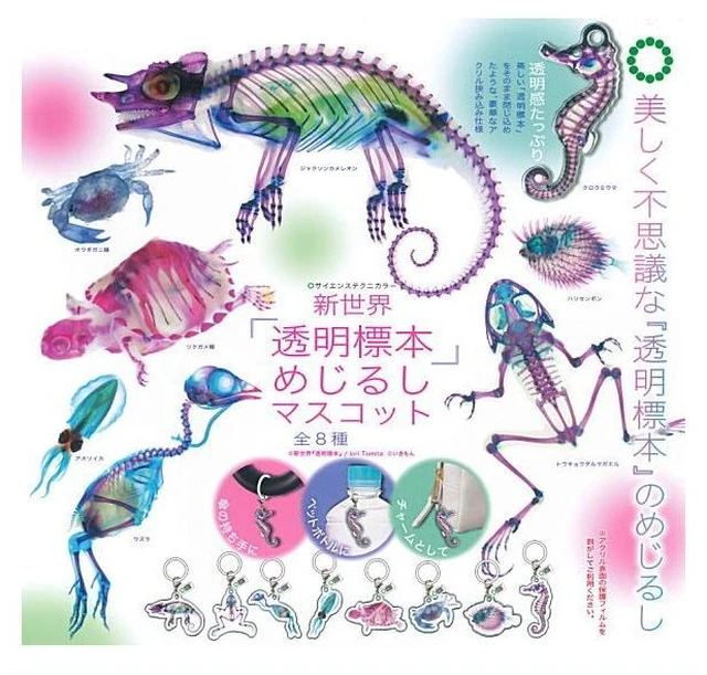 Main image of Japan Science Techni Color New World Transparent Specimen Mejirushi Mascot Set