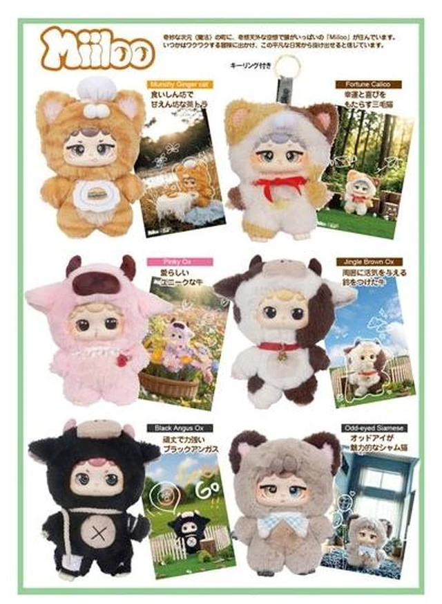 Main image of Japan Miiloo Iwaya 1BOX