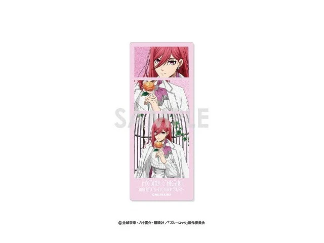 Alt view image 6 of 6 - Sol International Blue Lock Flower Cage Photo Card Box of 16 US DUTY PAID