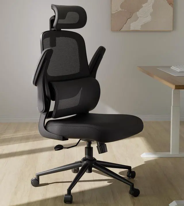 Main image of Hbada P1 Ergonomic Office Chair, Desk Chair with Adjustable Lumbar Support, Home Office Desk Chair with 2D Headrest, Flip-up Armrest, Swivel Computer Chair, Black