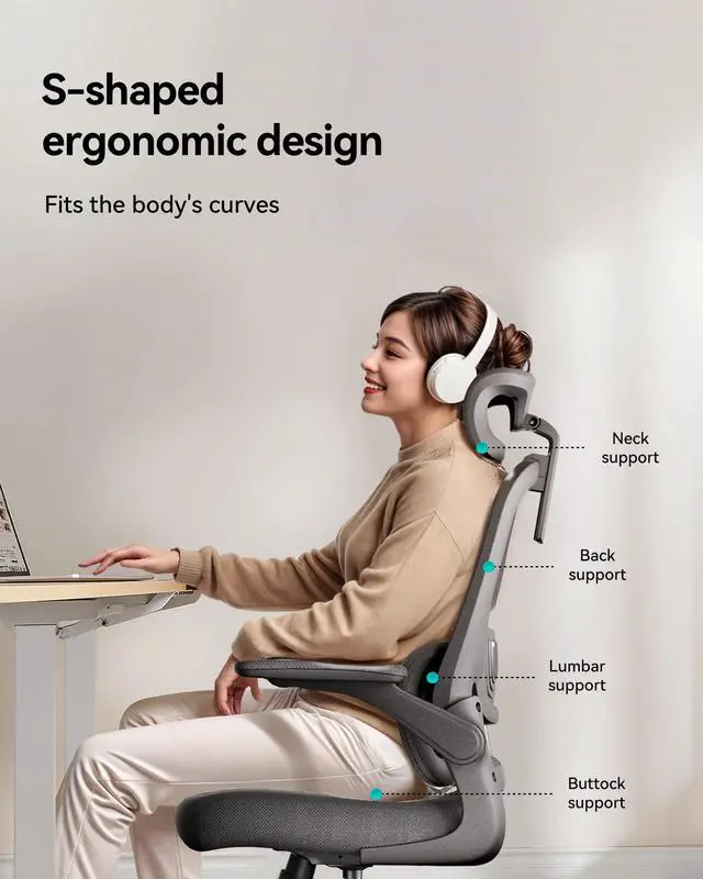 Alt view image 4 of 7 - Hbada P1 Ergonomic Office Chair, Desk Chair with Adjustable Lumbar Support, Home Office Desk Chair with 2D Headrest, Flip-up Armrest, Swivel Computer Chair, Black