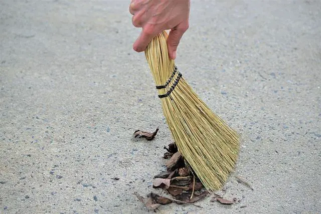 Alt view image 2 of 2 - 12 Inch Corn Whisk Broom, Yellow, Flagged Natural Bristles for Multi-Surface Sweeping, Remove Dirt and Debris from Porches/Floors Decks/Driveways/Sidewalks