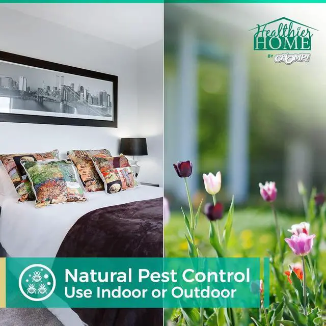 Alt view image 3 of 7 - Insect and Pest Control Spray, 24 Ounces, Indoor and Outdoor Use, Plant-Based Formula Ants, Bed Bugs, Dust Mites Spiders, Made with Peppermint, Lemongrass, Geraniol