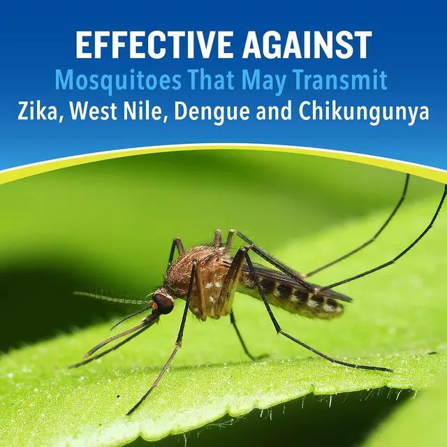 Alt view image 7 of 7 - Lemon Eucalyptus Mosquito and Insect Repellent Bug Spray 4 Ounces, DEET-Free Pump Spray