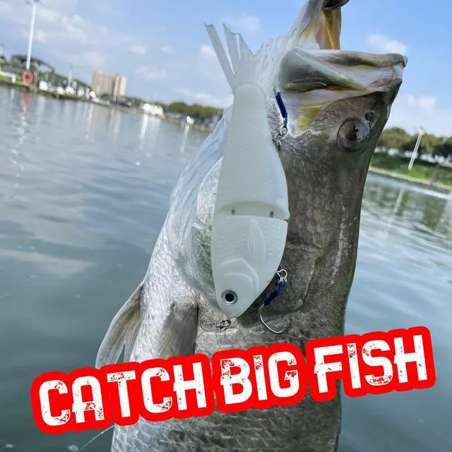 Alt view image 3 of 7 - Lure Slow Sinking Glide Bait with Fur Tail Lifelike Fishing Tackle for Trout Shad Bass Musky (Color White)