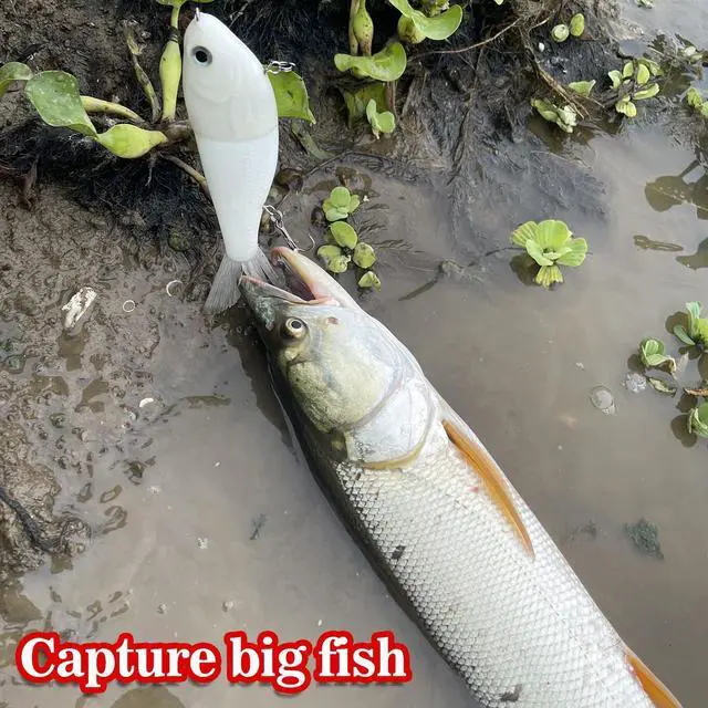 Alt view image 7 of 7 - Lure Slow Sinking Glide Bait with Fur Tail Lifelike Fishing Tackle for Trout Shad Bass Musky (Color White)