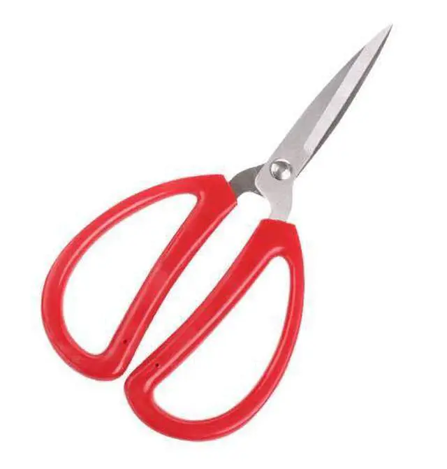 Alt view image 6 of 7 - Hometeq 6" Scissors Multi-Purpose Stainless Steel Sharp Scissors with Red Handle - Perfect for Cutting
