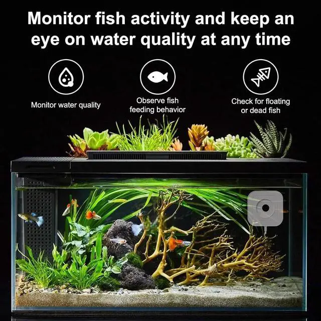 Alt view image 6 of 7 - Automatic Fish Feeder with 1080P Camera, WiFi APP Live View,Real-Time Viewing & Recording, Timer Programmable Food Dispenser, Timer & Portion Adjustable, Large Capacity, for Fresh/Saltwater.