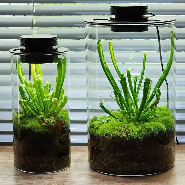 Alt view image 6 of 7 - Glass Terrarium Plant Grow Light with Timer for Vases, 4-Inch Lamp