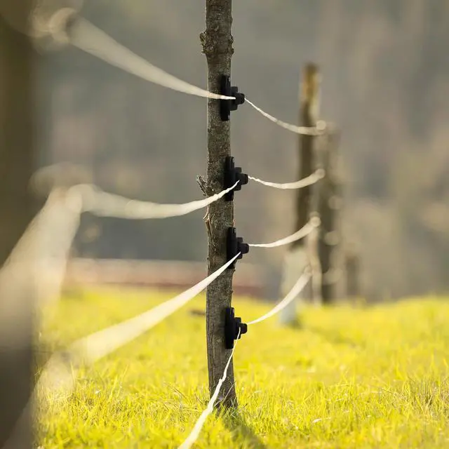 Alt view image 6 of 6 - 100 Pcs Electric Wire Fence Insulators Electric Fence Wood Post Claw Insulators Accessories Nail Wood Post Nail on Insulator for Hi-tensile, Heavy Duty Fencing Wire Polywire (Black)