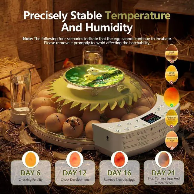 Alt view image 5 of 7 - 22 Eggs Smart Incubator, One-Click Hatching, Automatic Temp Humidity Control, Auto Egg Turner, Built-in Egg Candler, Music Reminder Poultry Hatcher for Chicken Duck Quail Pigeon Classroom Home Use
