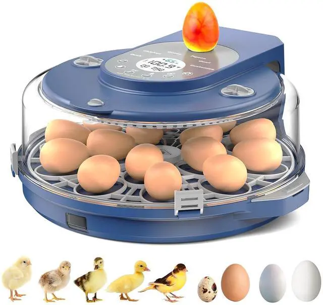 Main image of Egg Incubator for Hatching Eggs, 5 Preset Incubation Modes & 1 Custom Mode
