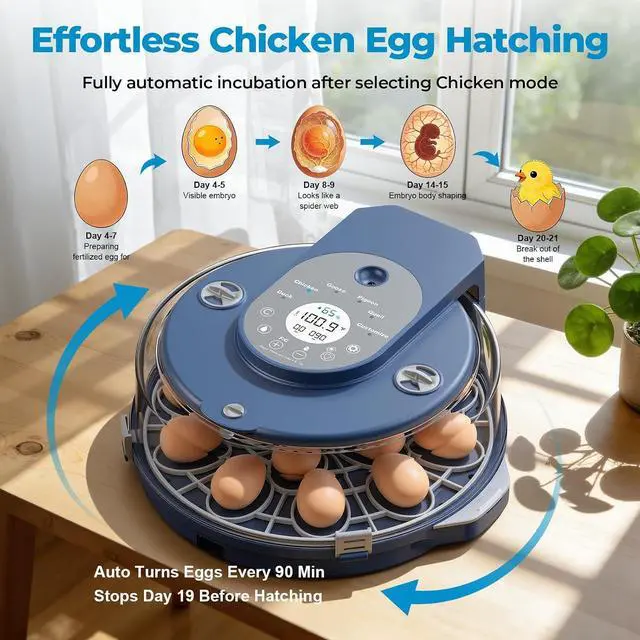 Alt view image 4 of 7 - Egg Incubator for Hatching Eggs, 5 Preset Incubation Modes & 1 Custom Mode